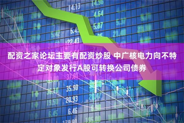 配资之家论坛主要有配资炒股 中广核电力向不特定对象发行A股可转换公司债券