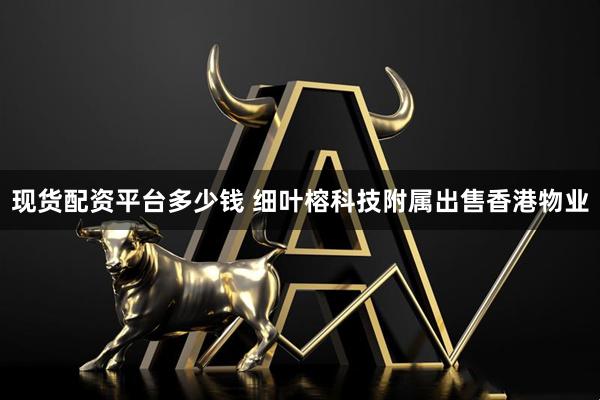 现货配资平台多少钱 细叶榕科技附属出售香港物业